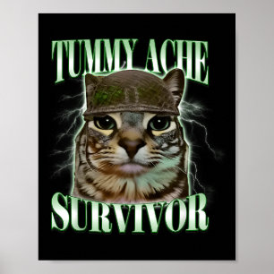 Grappige Buikpijn Overlevende Kat Meme Poster