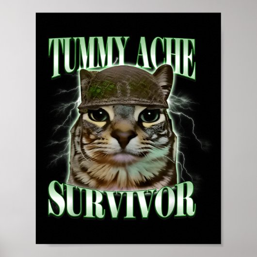 Grappige Buikpijn Overlevende Kat Meme Poster (Voorkant)