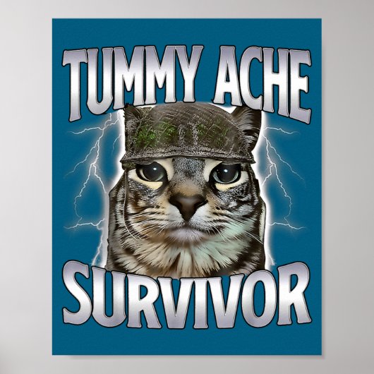 Grappige Buikpijn Overlevende Kat Meme Poster (Voorkant)