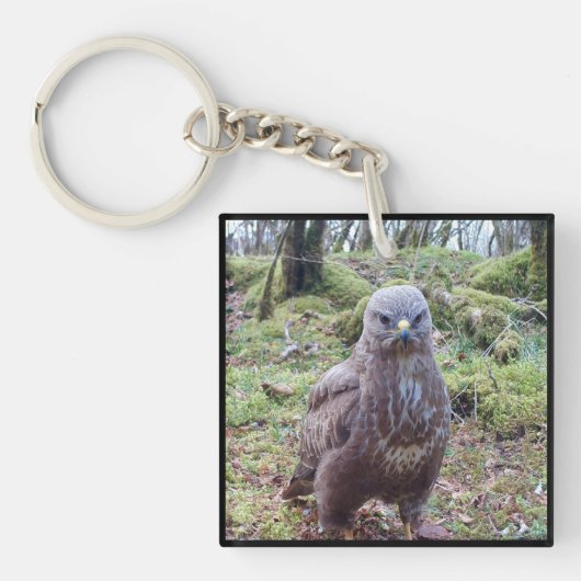 Grappige Buizerd Houding Felle Wilde Roofvogel Sleutelhanger (Voorkant)
