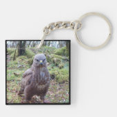 Grappige Buizerd Houding Felle Wilde Roofvogel Sleutelhanger (Achterkant)