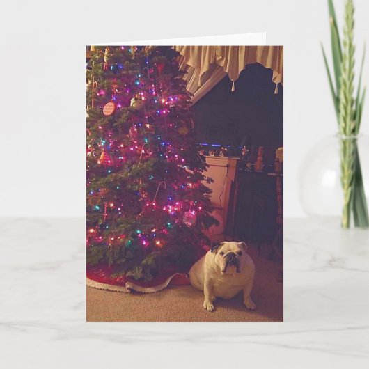 Grappige Bulldog Foto Kerstvakantie Kaart (Voorkant)