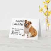 Grappige Bulldog Verjaardag Kaart (Gele Bloem)