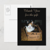 Grappige Calico Kat in Doos Bedankt Ansichtkaart Briefkaart (Voorkant / Achterkant)