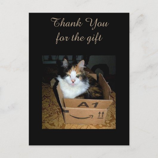Grappige Calico Kat in Doos Bedankt Ansichtkaart Briefkaart (Voorkant)