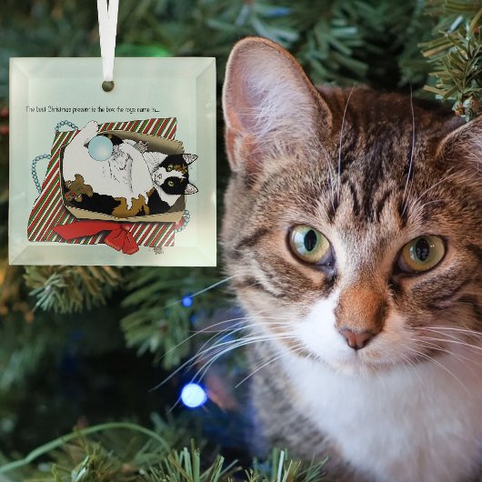Grappige Calico Kat Kerstcadeau Doos Glas Ornament