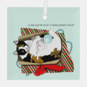 Grappige Calico Kat Kerstcadeau Doos Glas Ornament (Achterkant)