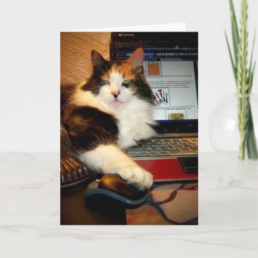 Grappige Calico Kat Wenskaart Kaart (Voorkant)