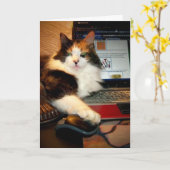 Grappige Calico Kat Wenskaart Kaart (Gele Bloem)