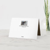 grappige calicokat in de kaart van Chrismas van de (Achterkant)