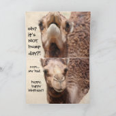 Grappige Camel Hump Dag Verjaardag Kaart (Binnen)