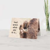 Grappige Camel Hump Dag Verjaardag Kaart (Voorkant)