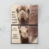 Grappige Camel Hump Dag Verjaardag Kaart 2 (Binnen)