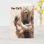 Grappige Camel Kaart, PAR-TAY zoals het is uw verj Kaart (Gele Bloem)