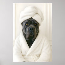 Grappige Cane Corso Badkamer Print, Cane Corso In