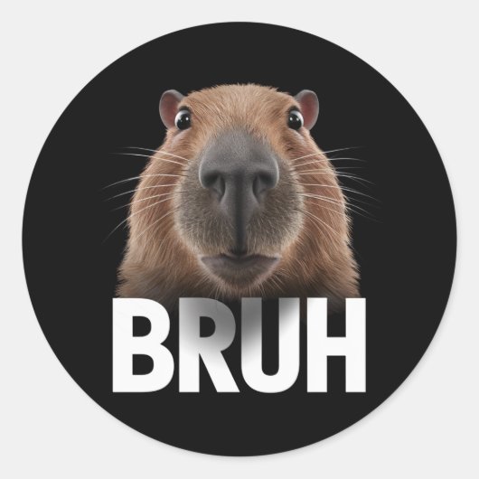 Grappige Capybara Bruh Ronde Sticker (Voorkant)