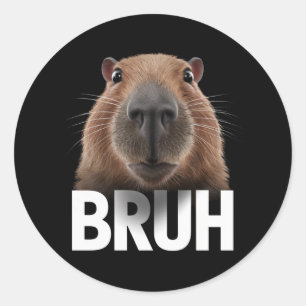 Grappige Capybara Bruh Ronde Sticker