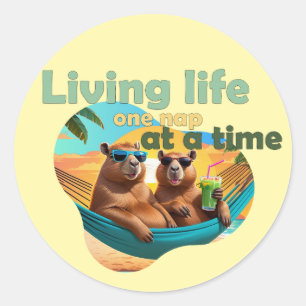 Grappige Capybara liefhebbers cadeau ,schattige Ca Ronde Sticker
