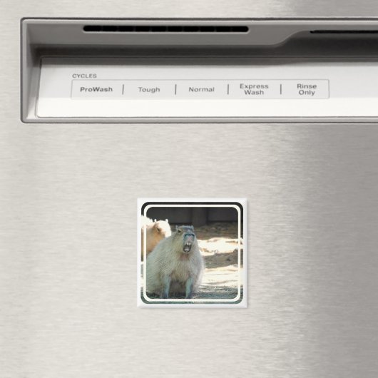 Grappige Capybara magneet (Insitu (Vaatwasser))