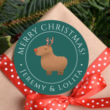 Grappige Capybara rendieren kerst
