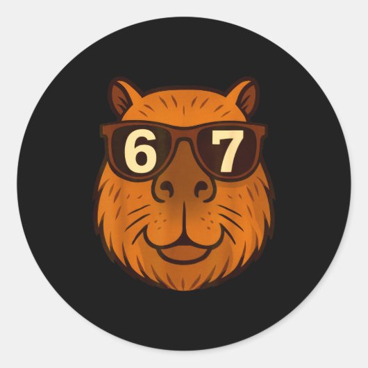 Grappige Capybara Sungles 67 Zes Zeven Meme Ronde Sticker (Voorkant)