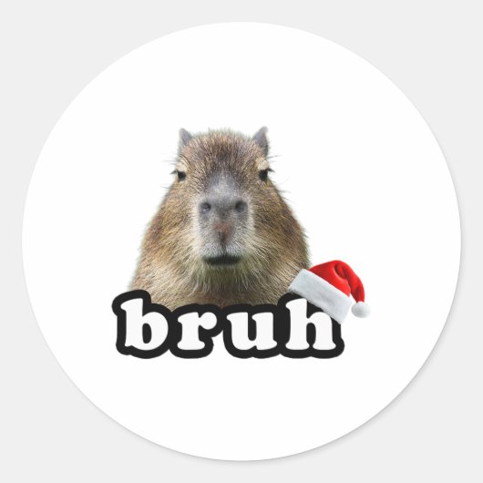Grappige Capyra Kerstmis Ronde Sticker (Voorkant)
