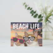 GRAPPIGE CAT BEACH KATTEN BRIEFKAARTEN (Staand voorkant)