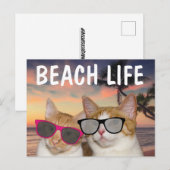 GRAPPIGE CAT BEACH KATTEN BRIEFKAARTEN (Voorkant / Achterkant)