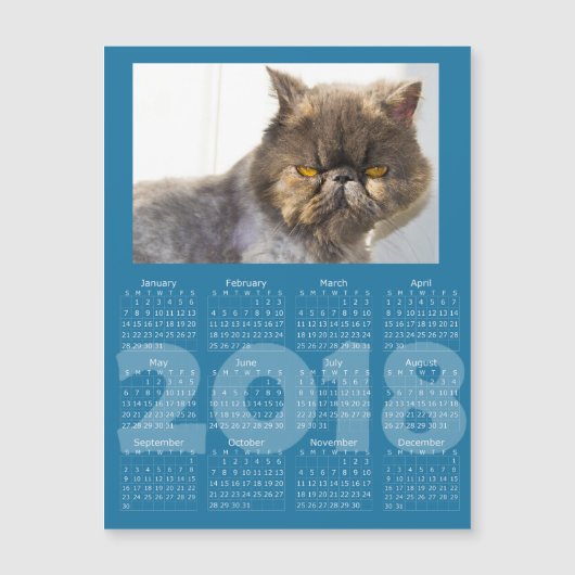 Grappige Cat Blue 2018 Kalender Magnetische Kaart (Voorkant)