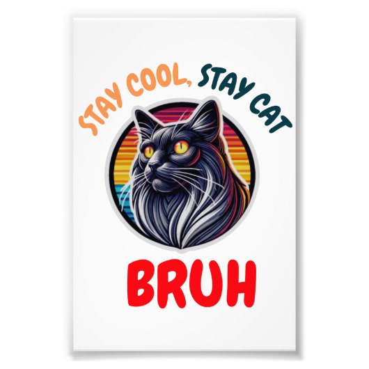 Grappige Cat Bruh Cool Cat Vibes Bruh Foto Afdruk (Voorkant)
