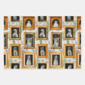 Grappige Cat Framed Wall Art Gallery Inpakpapier Vel (Voorkant)