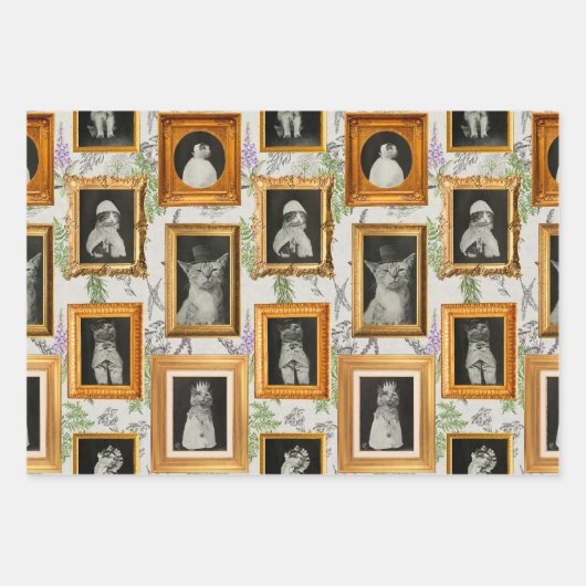 Grappige  Cat Framed Wall Art Gallery Inpakpapier Vel (Voorkant)