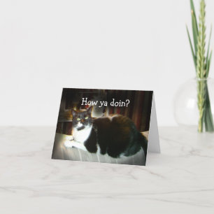 Grappige Cat Kaart Hoe Ya Doin, Denken aan jou