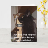 Grappige Cat Verjaardag Kaart 'Wordt bekeken' (Gele Bloem)