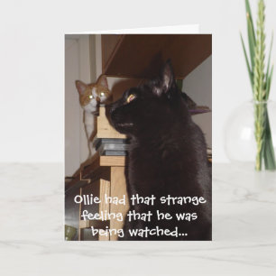 Grappige Cat Verjaardag Kaart 'Wordt bekeken'