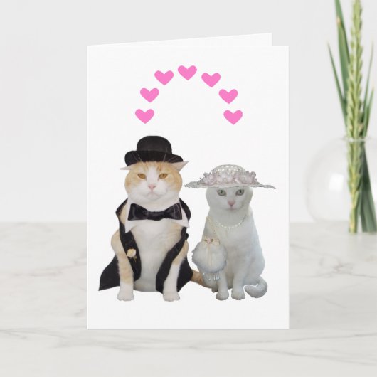 grappige, Cats Valentijn Feestdagen Kaart (Voorkant)