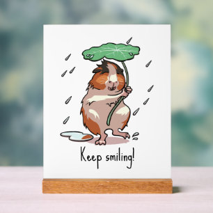Grappige cavia houden glimlachende regen dansende acryl bord