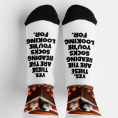 Grappige cavia's die onder rode paddenstoelen leze sokken (Top)