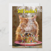 Grappige chagrijnige kat met gesmolten verjaardags kaart (Voorkant)