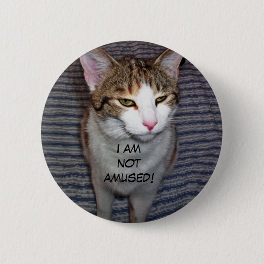 Grappige chagrijnige kat ronde button 5,7 cm (Voorkant)