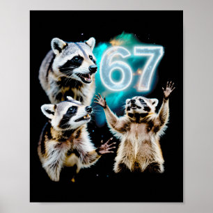 Grappige Chaotische Wasbeer Huilend Bij 67 Kosmisc Poster