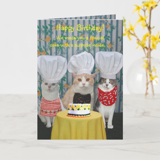 Grappige Chef Katten Verjaardag Kaart (Gele Bloem)
