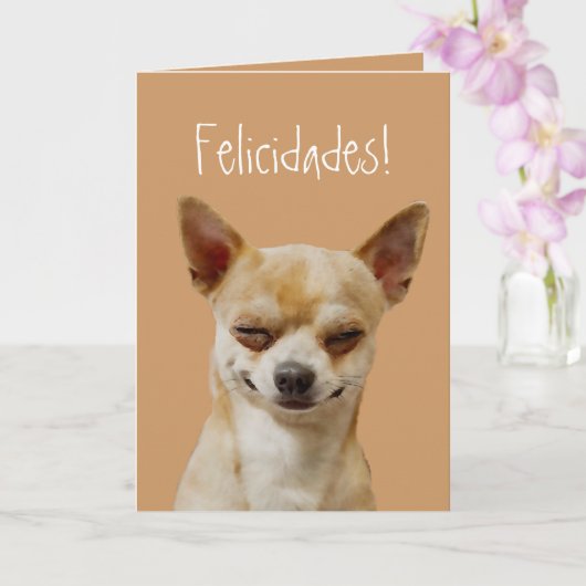 Grappige Chihuahua hond aan te passen voor een ver Kaart (Orchidee)