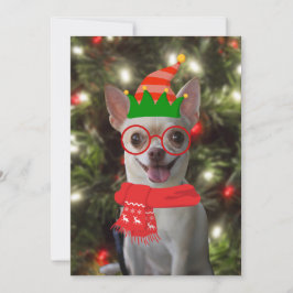 Grappige Chihuahua Hond Dier Kerstmis  Feestdagenkaart