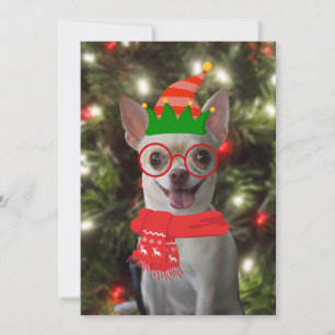Grappige Chihuahua Hond Dier Kerstmis Feestdagenkaart