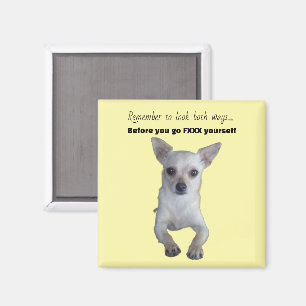 GRAPPIGE CHIHUAHUA  MAGNEET