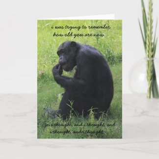 Grappige Chimp (de denker) Over de Hill Birthday Kaart