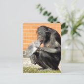 GRAPPIGE CHIMPANSEE BRIEFKAART (Staand voorkant)