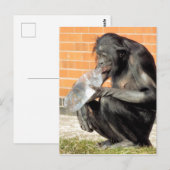 GRAPPIGE CHIMPANSEE BRIEFKAART (Voorkant / Achterkant)
