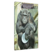 GRAPPIGE CHIMPANSEE KLEMBORD (Rechts)